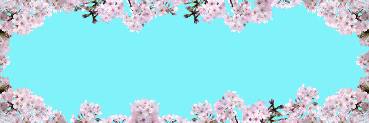 Obraz na płótnie Canvas 桜の花のフレーム画像