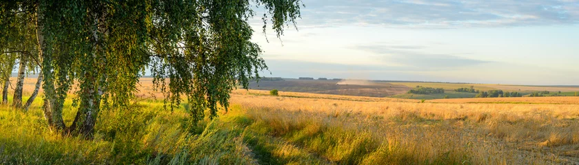 Foto op Plexiglas Summer rural panoramic landscape with golden wheat field and country road during sunset © valeriy boyarskiy