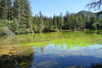 Schöne Plätze in der Steiermark mit meinen Hunden