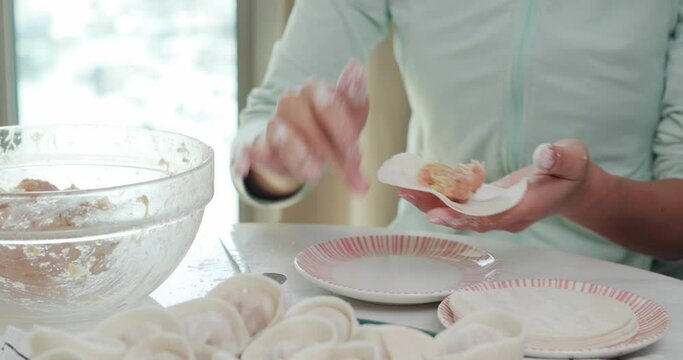 Woman make chinese meat dumpling