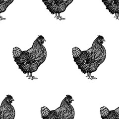 Seamless pattern with hens. Chicken images. Decorative background.