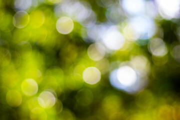 green bokeh background