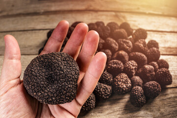 Summer black truffle
