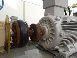 Electric motor on baseplate with coupling join in pulp industial