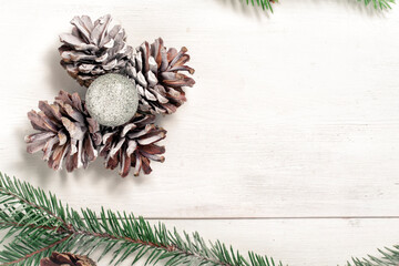 christmas festive background with fir branches