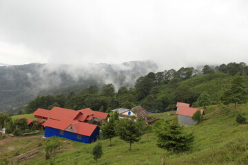 Few houses with pink color roof and blue color wall located in the eastern Nepal