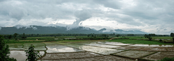 panorama landscape view of rice terraces