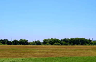 河川敷から青空を眺める　春　渡良瀬　風景