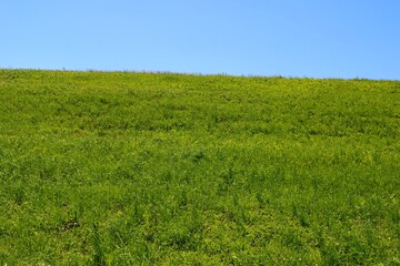 春の日堤防から青空を眺める　渡良瀬　風景