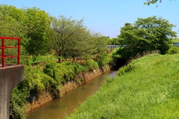 Fototapeta na wymiar 春の田舎の川　水門　新緑　草　風景