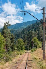 View of a railroad track through a green pine forest