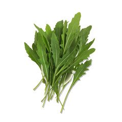 bunch of fresh green roquette. 
Arugula and rocket