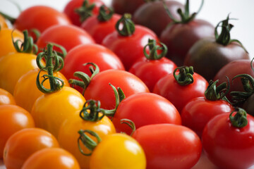 カラフルトマト01