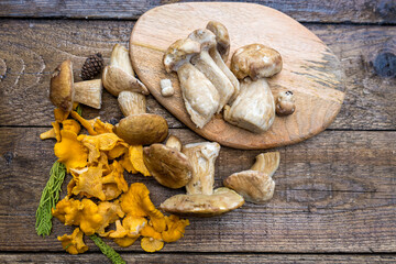 Autumn mushroom picking - porcini mushrooms and chanterelles on a wooden table