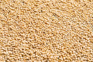 Heap of healthy quinoa as background