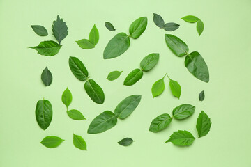 Green leaves on color background