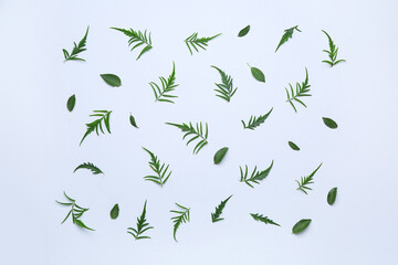 Green leaves on light background