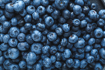 Tasty ripe blueberry as background
