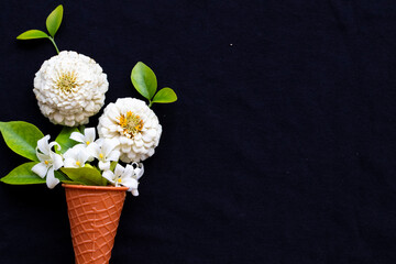 white flowers zinnia elegans with jasmine flowers in cone arrangement flat lay postcard style on background black 