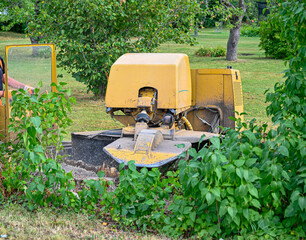 big yellow stump grinder in lilac hedge