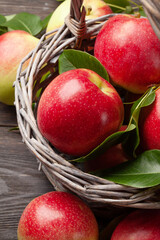 Ripe garden apple fruits