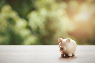 Piggy bank with beautiful nature background. saving money concept.