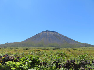 Fototapeta premium pico mountain with crater and clear blue sky - Pico Island, Azores - Portugal