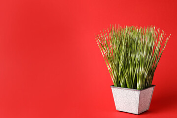 Beautiful artificial plant in flower pot on red background, space for text
