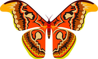 Butterfly Insect Animal Vector Illustration