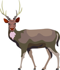 Naklejka na ściany i meble Deer Mammal Animal Vector Illustration