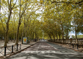 Public garden along Place des Quinconces, Bordeaux France, with a canopy of green trees.