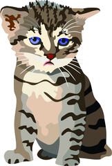 Fototapeta na wymiar Kitty Mammal Pet Animal Vector Illustration