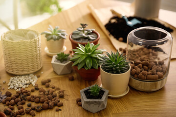 Fototapeta na wymiar Beautiful potted plants and expanded clay on wooden table at home. Engaging hobby