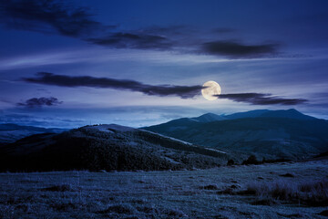 beautiful carpathian countryside at night. wonderful autumn landscape in mountains. rural scenery with agricultural fields on rolling hills in full moon light. watershed ridge in the distance © Pellinni
