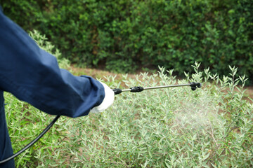 Worker spraying pesticide onto green bush outdoors, closeup. Pest control