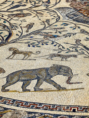Mosaicos de la casa de orfeo.Ciudad Romana de Volubilis(II d.c.), yacimiento arqueologico.Marruecos.