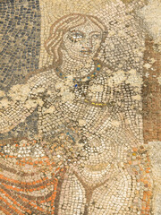 Mosaicos de la casa de Baco.Ciudad Romana de Volubilis(II d.c.), yacimiento arqueologico.Marruecos.
