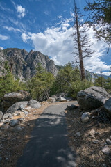 zumwalt meadow in kings canyon national park, usa