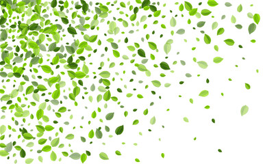 Lime Leaves Ecology Vector Border. Blur Greens 