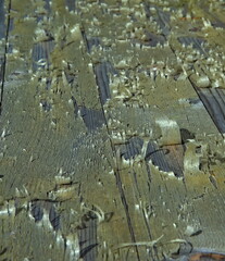 Birch bark peeling of from a timber plank sitting in the sun.