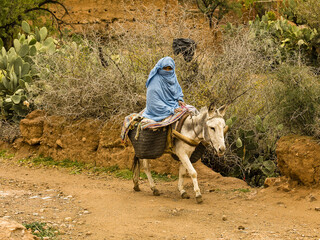 Kasbah Glaoui.Taliouine.Antiatlas.Marruecos.