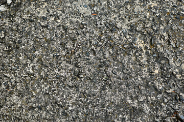 The texture of the old concrete. Can be used as background.