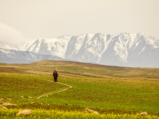 Pastor solitario.Cerca de Moulay Brahim. Cordillera del Atlas.Marruecos.