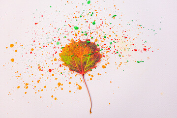 Autumn leaf of green, orange and red shades on a light background. Around leaf and on it are bright splashes of paint of the same colors. Creative autumn flat lay.