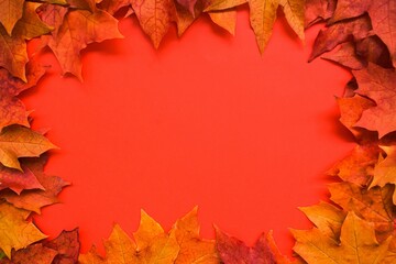 Autumn, colorful composition. Frame of autumn maple leaves on a red background. Flat lay, top view, copy space.