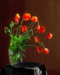 Bouquet of red poppies in a crystal vase