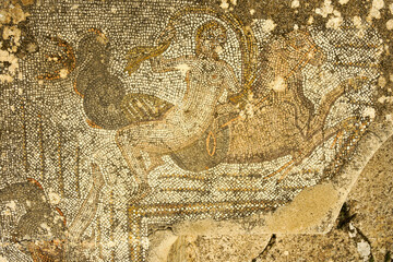 Mosaicos de la casa de Baco.Ciudad Romana de Volubilis(II d.c.), yacimiento arqueologico.Marruecos.