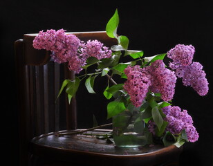 Lilacs in a vase on an old chair. Black background.