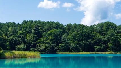 Fototapeta premium 【裏磐梯・五色沼】弁天沼の風景／磐梯朝日国立公園（福島県）