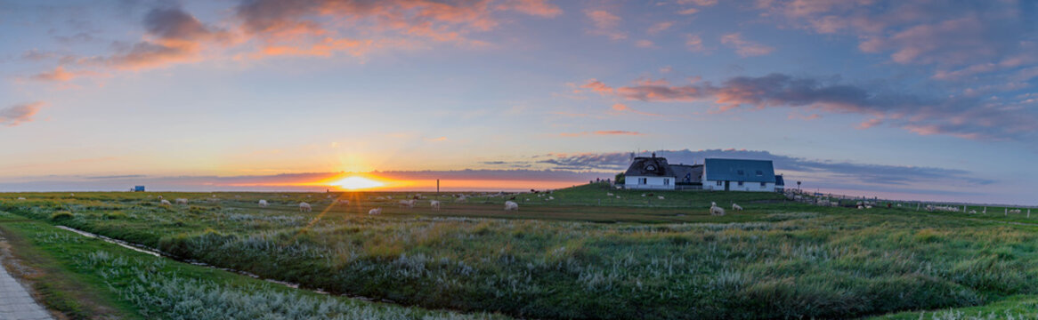 Picturesque village  and unique natural landscape of the North Sea Coast on island "hallig" at North Frisia, Schleswig-Holstein, Germany. Hamburger Hallig (small islands off the coast) in evening sun.